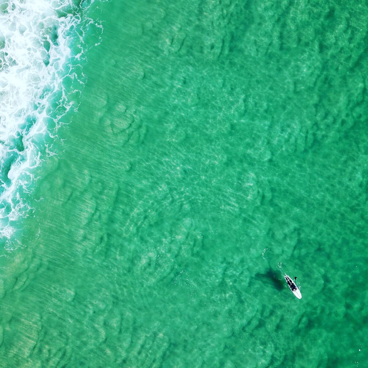 aerial view of boat on sea during daytime